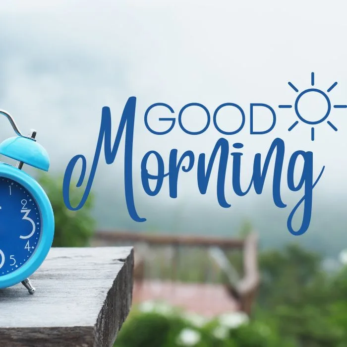 Good Morning Rose Images