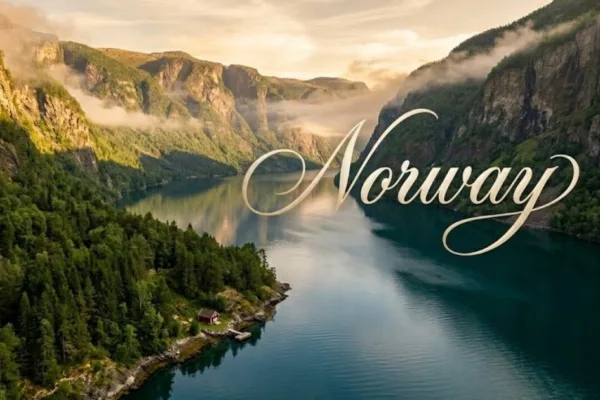 What to Do When Your Registered Dog Goes Missing A Recovery Guide for Purebred Owners