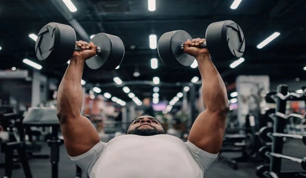 Delta Fitness Authority: The Complete Guide to Smarter Fitness in 2026