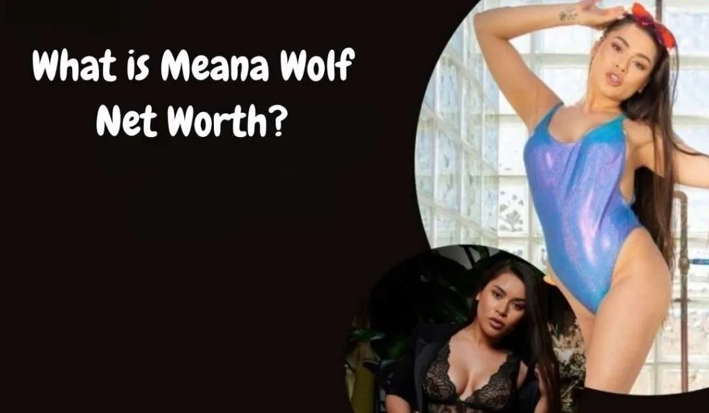 Meana Wolf: The Complete Biography, Career Story, and What Makes Her Different